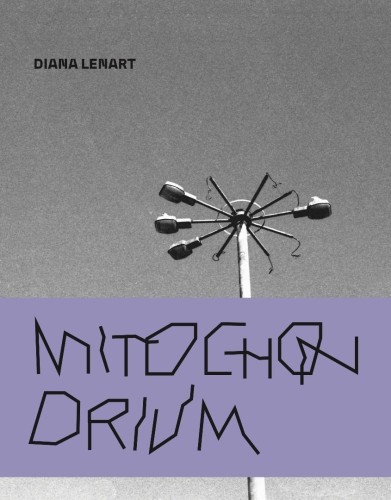 Mitochonrdium, Diana Lenart