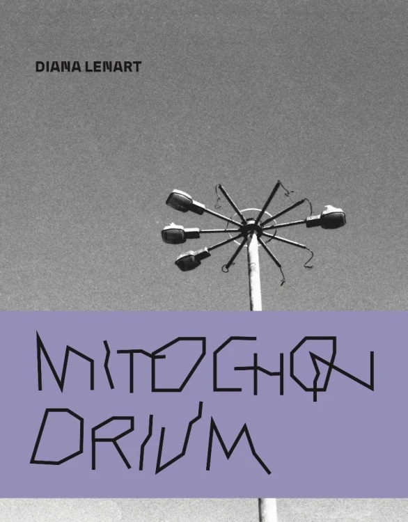 Mitochonrdium, Diana Lenart