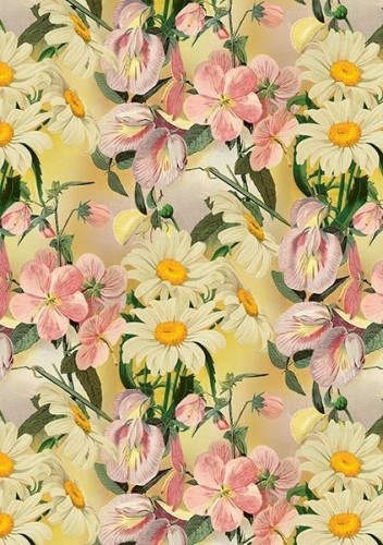 Karnet ST534 B6 + koperta Stokrotki