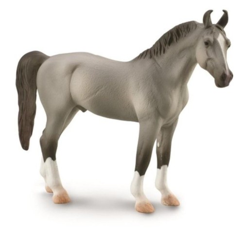 Koń Marwari Stallion szary, Collecta