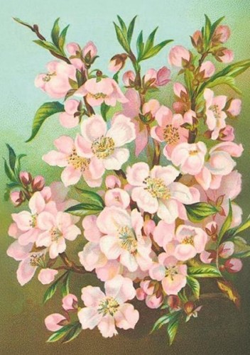 Karnet ST538 B6 + koperta Kwiaty jabłoni