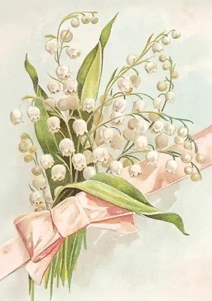 Karnet ST535 B6 + koperta Konwalie