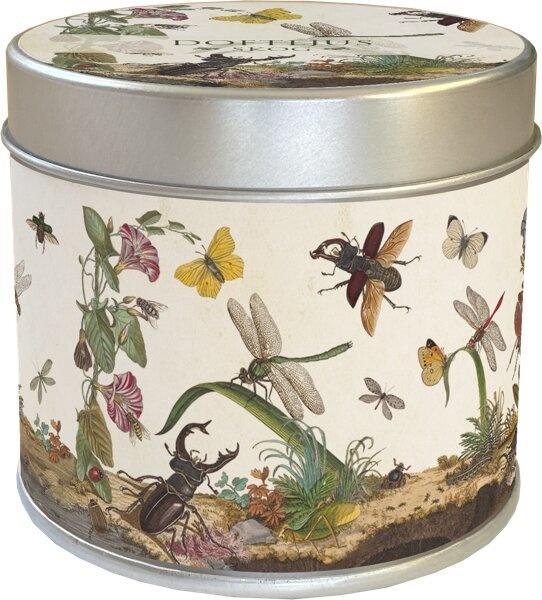 Zapachowa świeczka 278 owady zapach leśny