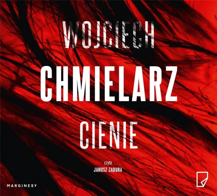 Jakub Mortka T.5 Cienie audiobook