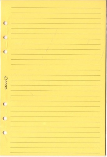 Wkład do organizera A5 linia żółta, Antra