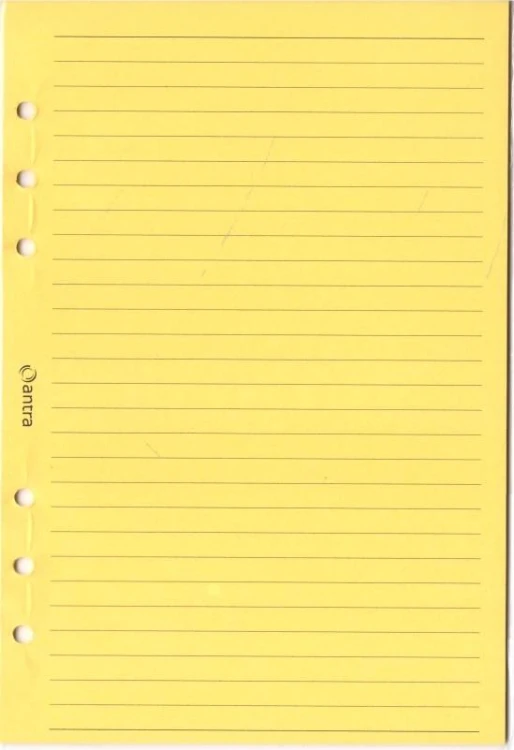 Wkład do organizera A5 linia żółta, Antra