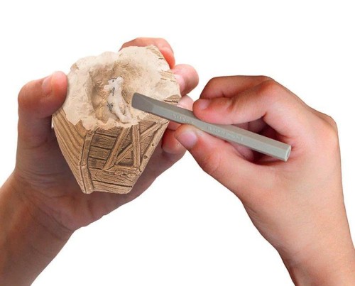 Zwierzęta z gospodarstwa rolnego PIATNIK, Piatnik