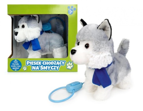 Pies chodzący na smyczy z szalikiem, Artyk