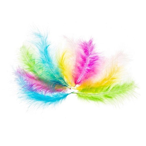 Piórka indycze 10-15cm pastelowe, Brewis