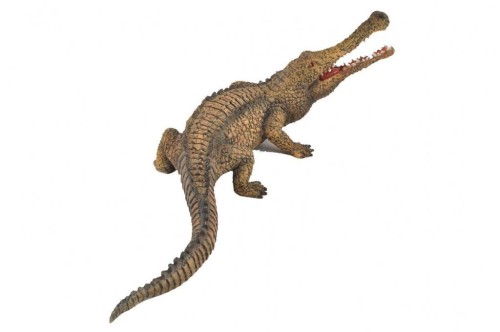 Dinozaur Sarcosuch, Collecta