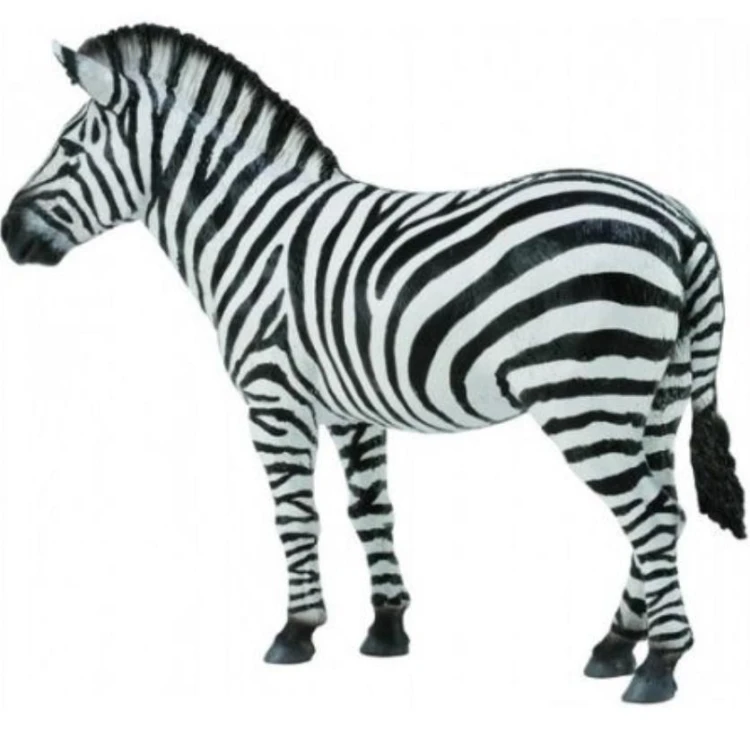 Zebra Common, Collecta