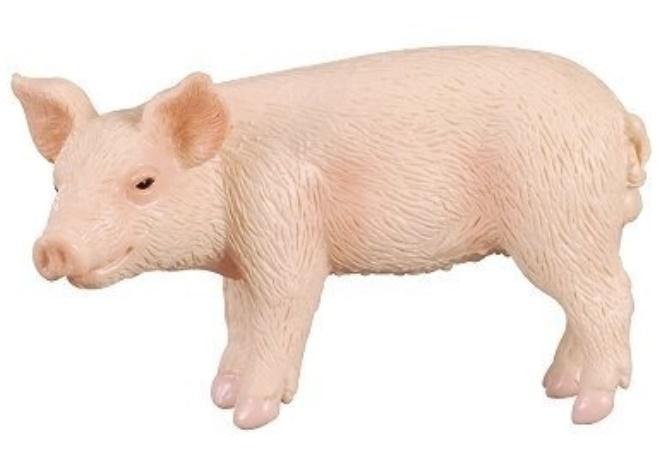 Prosie stojące, Collecta