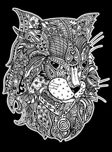 Kolorowanka Welwetowa 47x35 Kot Fantazja, Stepp