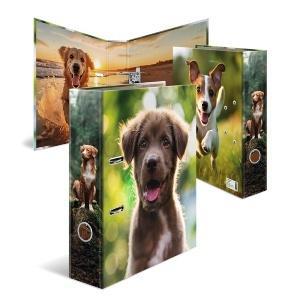 Segregator Pies 7cm, Herma