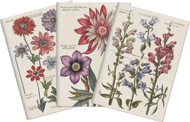 Stone 511 Zestaw 3 notatników A6 - kwiaty