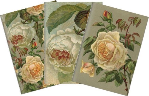 Stone 514 Zestaw 3 notatników A6 - żółte róże