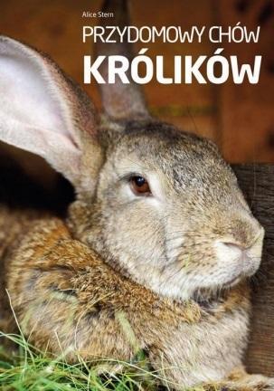 Przydomowy chów królików, Alice Stern