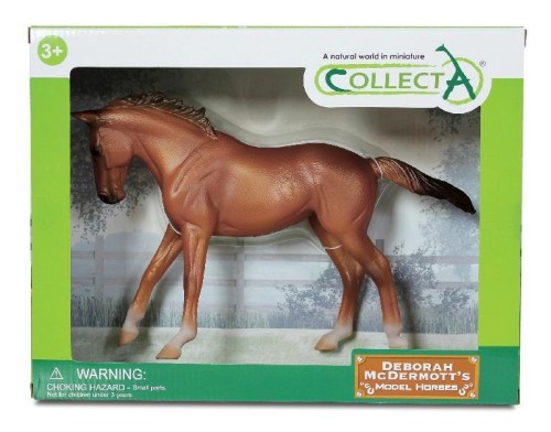 Klacz rady Thoroughbred maści Chestnut, Collecta