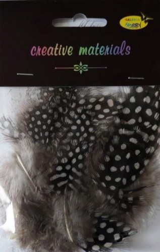 Pióra perliczek 10-15 cm 15szt, Galeria Hobby