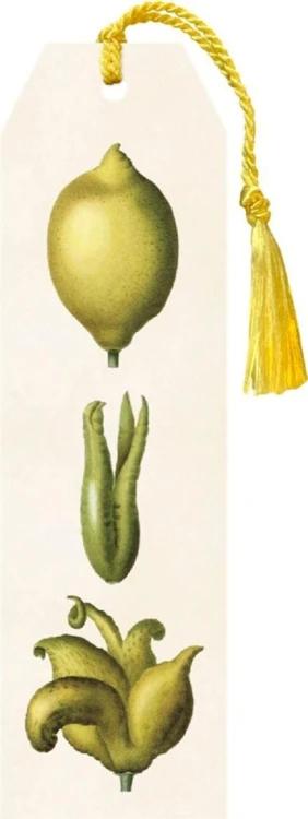 Zakładka 03 ze wstążką Cytryny, Skona Ting