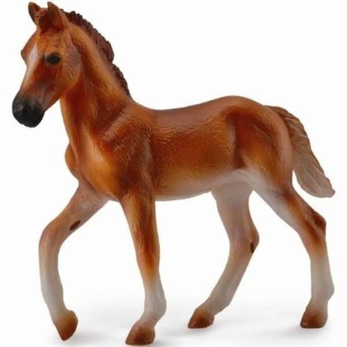 Koń peruwiański Paso maści kasztan, Collecta