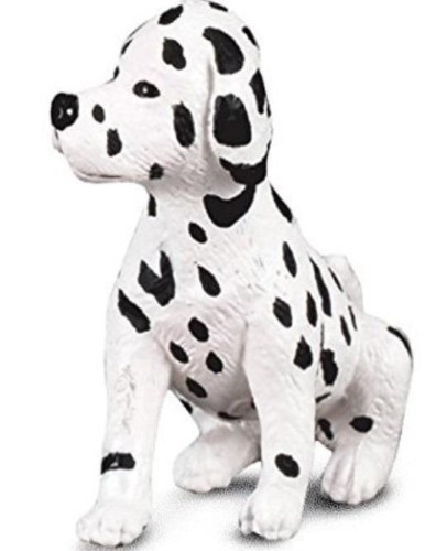 Pies Dalmatyńczyk szczeniak, Collecta