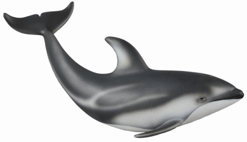 Delfin Pacyfic, Collecta