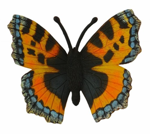 Motyl Rusałka pokrzywnik, Collecta