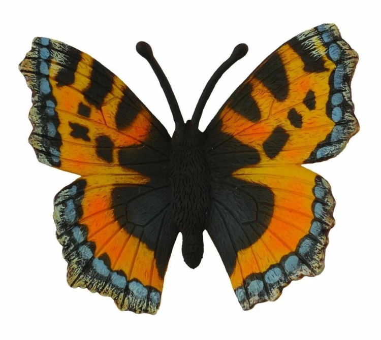 Motyl Rusałka pokrzywnik, Collecta