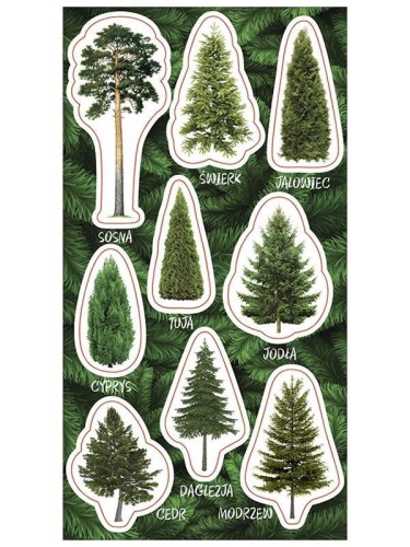 Naklejki Drzewa iglaste, Ranok-Creative