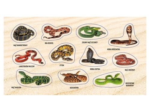 Naklejki Żmije i węże 2.0, Ranok-Creative