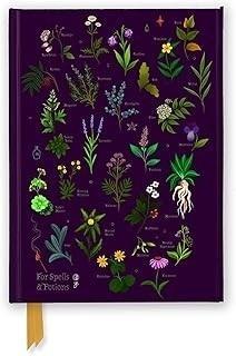 Notatnik A5 linia TW Zaklęcia i mikstury Anna Stea