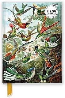 Notatnik A5 gładki TW Kolibry Ernst Haeckel
