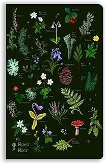 Notatnik B6 linia BR Leśna ściółka Anna Stead