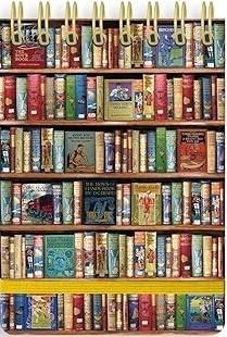 Kołonotatnik linia Książki srebrne, Flame Tree