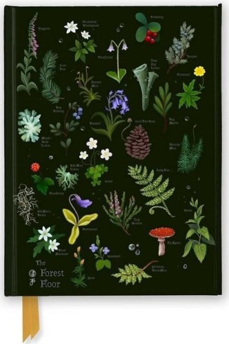 Notatnik A5 linia TW Leśna ściółka Anna Stead