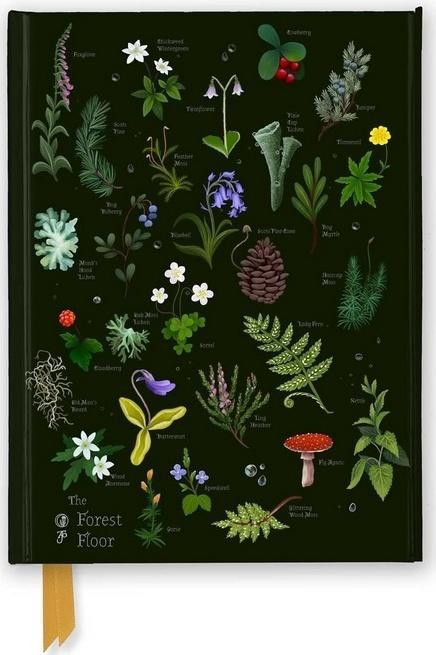 Notatnik A5 linia TW Leśna ściółka Anna Stead