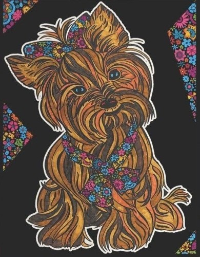 Kolorowanka welwetowa A4 Yorkshire Terrier