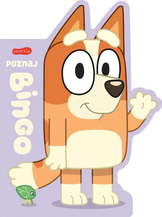 Poznaj Bingo. Książeczki kartonowe, praca zbiorowa
