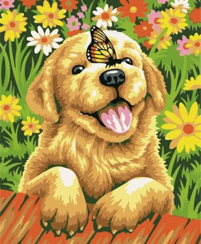 Malowanie po numerach 40x50cm Piesek z motylem