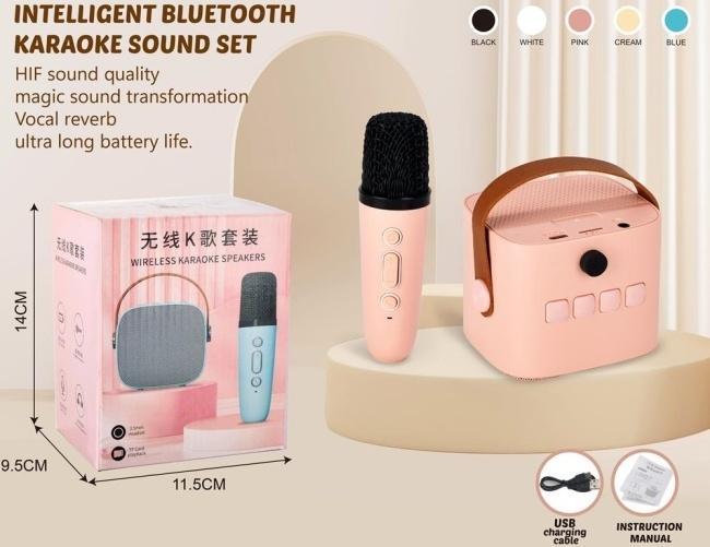 Zestaw do karaoke, Merkpol