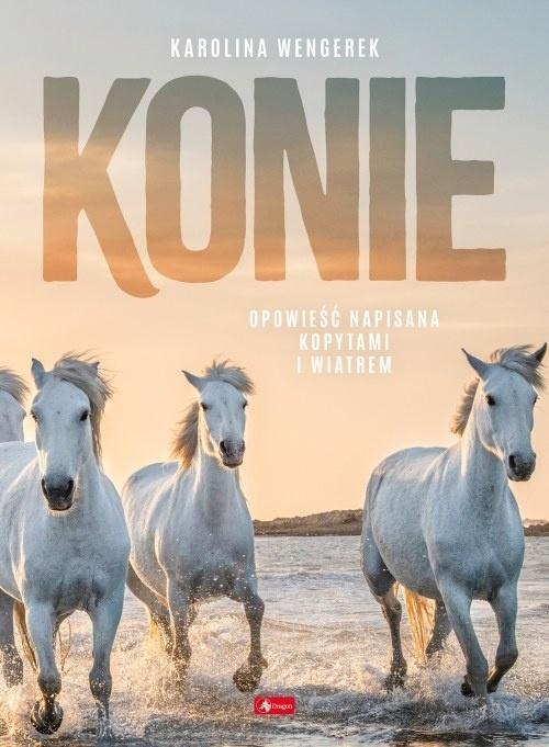 Konie, Karolina Wengerek