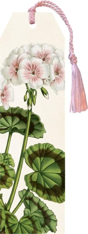 Zakładka 161 ze wstążką Biała pelargonia