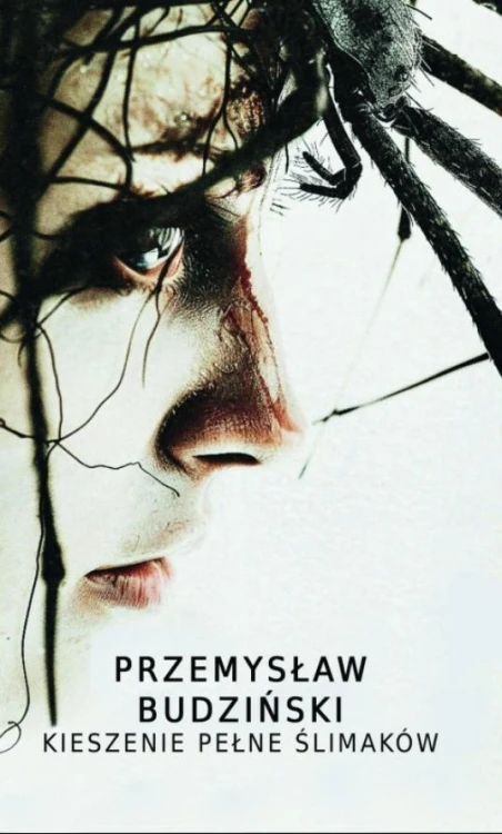 Kieszenie pełne ślimaków, Przemysław Budziński