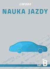 Nauka jazdy kategoria B, praca zbiorowa