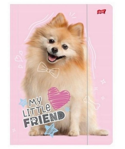 Teczka z gumką A4 My Little Friend Dog, UNIPAP