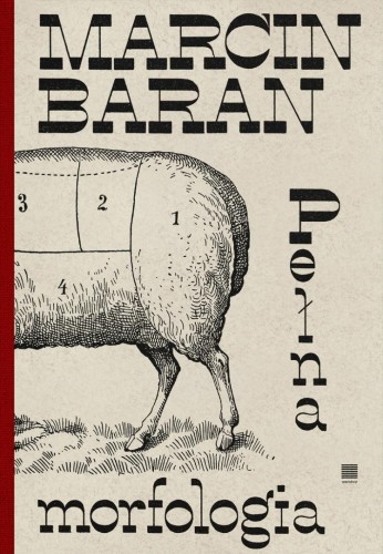 Pełna morfologia, Marcin Baran