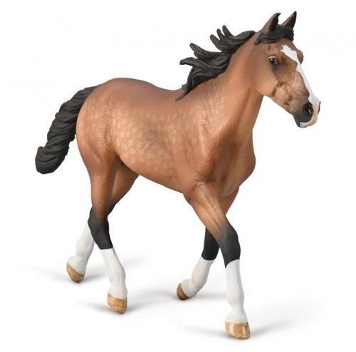 Ogier Standardbred Pacer maści gniadej, Collecta