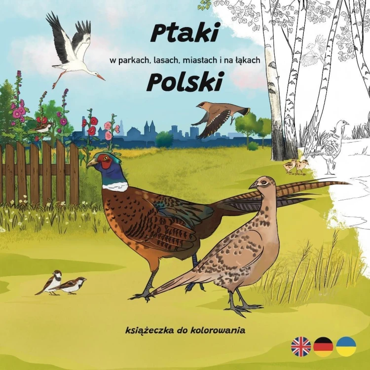 Ptaki w parkach, lasach, miastach i na łąkach...