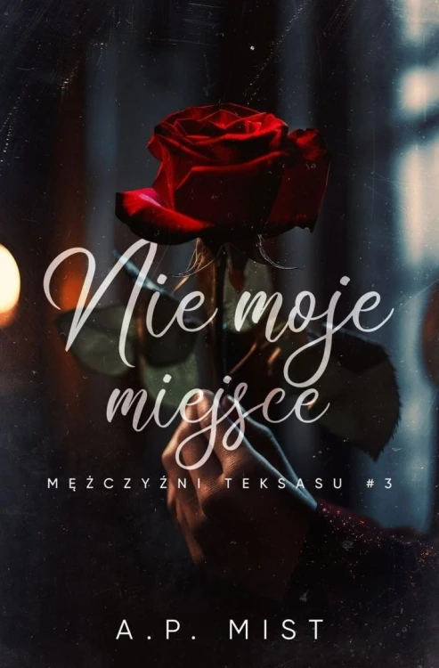 Mężczyźni Teksasu T.3 Nie moje miejsce, A.P. Mist